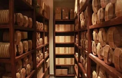 Puerh tea tasting comparison