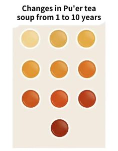 Proper Puerh tea storage