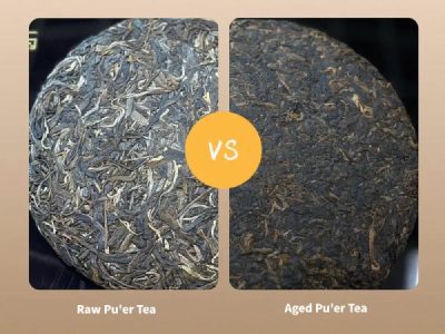 Sheng vs Shu Puerh tea comparison