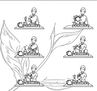 Tasting and brewing Puerh tea