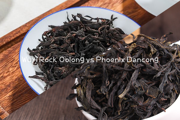 Wuyi Rock Oolong vs Phoenix Dancong
