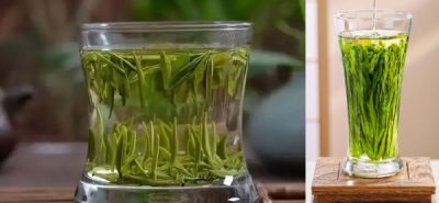 Xinyang Maojian and Taiping Houkui liquor