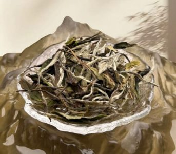Aged White Tea - Unique Flavor and Collectible Value