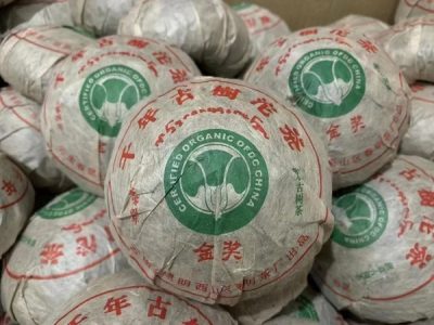 Mini Puerh Tuocha for travel