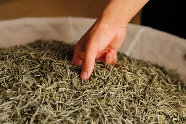 Tea Master Crafting Tea