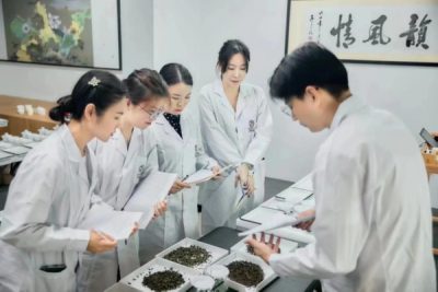Modern Tea Competition Judging