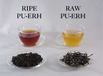 Sheng vs Shu Puerh Liquor Color