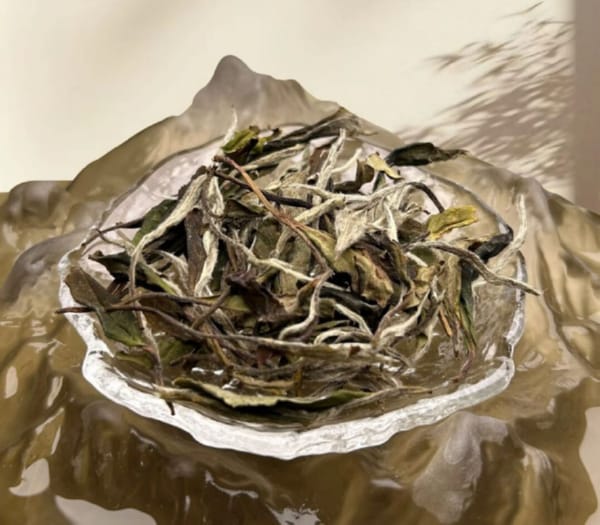 Ye Sheng White Tea